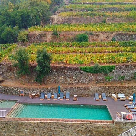 Quinta De Travassinhos- Douro Valley & Spa ซานตามาร์ตาเดเปนาเกียว ภายนอก รูปภาพ