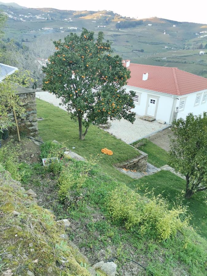 Quinta De Travassinhos- Douro Valley & Spa ซานตามาร์ตาเดเปนาเกียว ภายนอก รูปภาพ