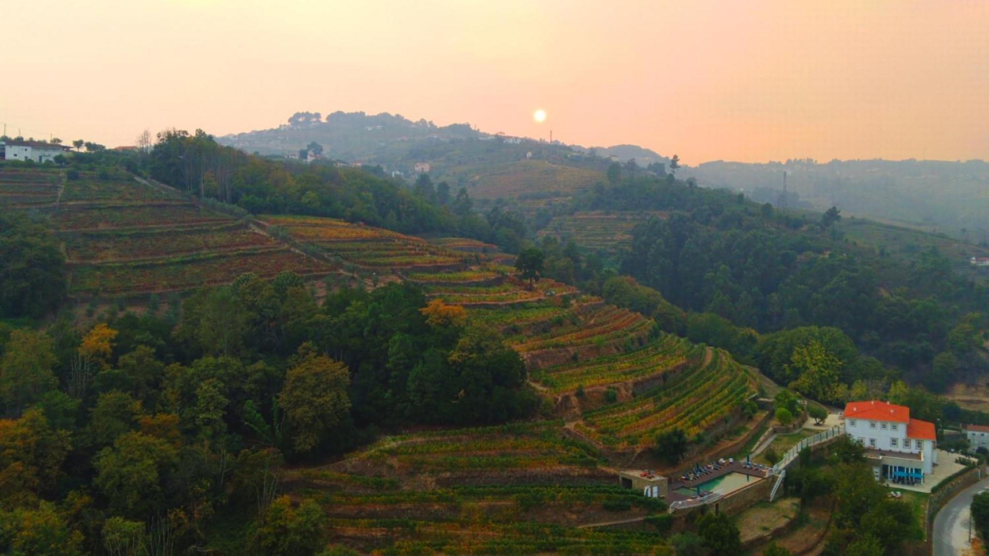Quinta De Travassinhos- Douro Valley & Spa ซานตามาร์ตาเดเปนาเกียว ภายนอก รูปภาพ