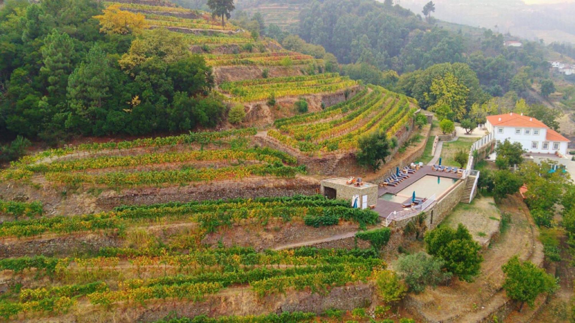 Quinta De Travassinhos- Douro Valley & Spa ซานตามาร์ตาเดเปนาเกียว ภายนอก รูปภาพ